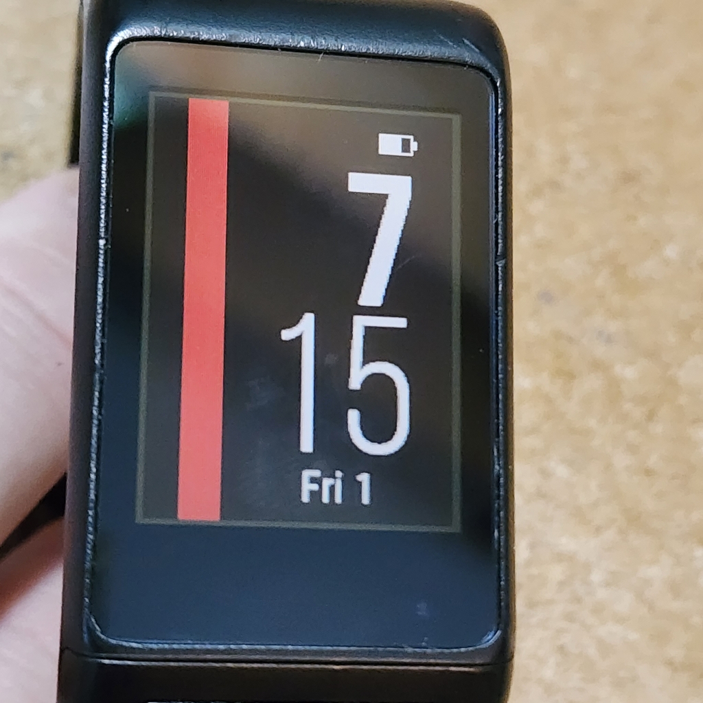 Garmin Vivoactive Hr